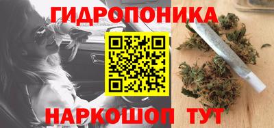 крисы Жуковский