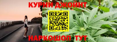 гидра Заволжье