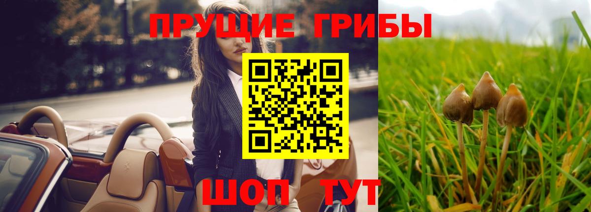 Галлюциногенные грибы мухоморы  Вход с VPN  Буйнакск 